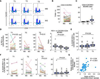 T follicular helper cells expansion in transplant recipients correlates with graft infiltration and adverse outcomes